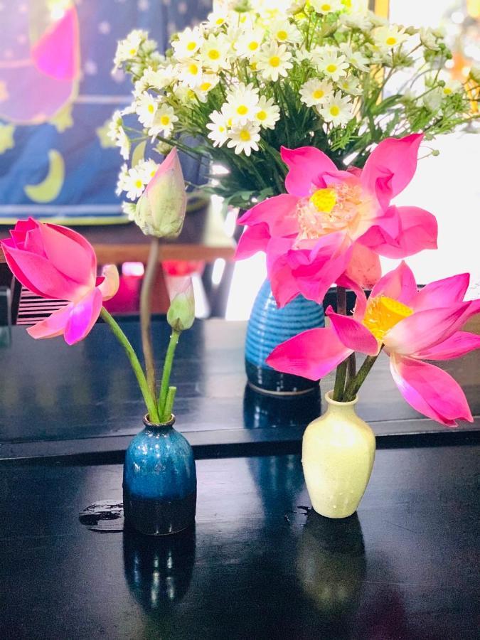 Coco Viet Homestay 호이안 외부 사진